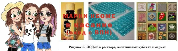PSILOCYBIN Горно-Алтайск