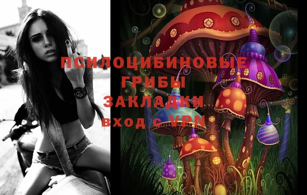 2c-b Горняк
