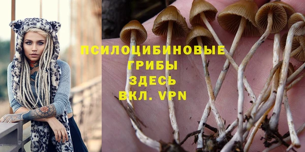 PSILOCYBIN Горно-Алтайск