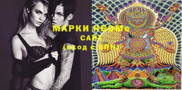 PSILOCYBIN Горно-Алтайск